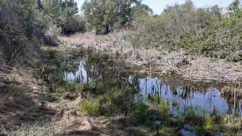 0 Bedroom Property for Sale in Albertinia Western Cape